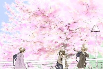 深入了解 家庭摄像头在线直播